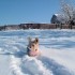 la neige d'automne