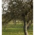 La nature à l'automne