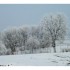 Décor d'hiver