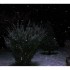 La neige depuis hier !