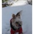 Ah la neige!