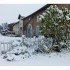 Les bestioles dans la neige.