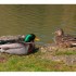 Suite balade aux lacs de Contrexeville.
