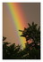 L'arc-en-ciel.