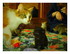 Email et ces chatons !
