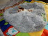 Gagné du site MILOU DUCHESSE ET MOI