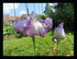 Mes fleurs!