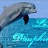 les dauphins