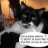 Mauvaises excuses...