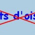 Les chants d'oiseaux.