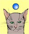 Les postures du chat.