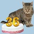Age réel d'un chat.