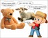 La guerre des ours.