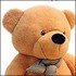 La guerre des ours.