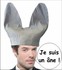 L'idiot.