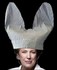 Bonnet d’âne du jour.