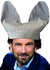 Le bonnet d'âne du jour.
