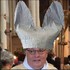 Bonnet d'âne du jour: évêqu