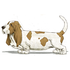 Le basset hound