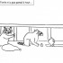 Raccoons attack
