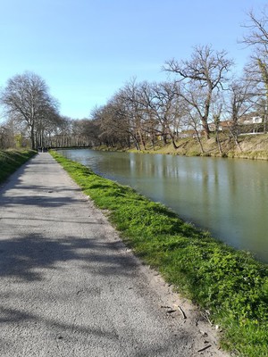 Le canal près de Castelnaudary