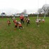 ECOLE DE RUGBY  U/9  U/11  C'E