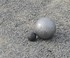 La pétanque du Rugby  2016