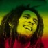 reggae-musical