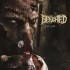 ANATA & BENIGHTED (nouvel 