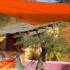 voile d'ombrage et aménagement extérieur