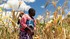Le Zimbabwe "au bord de la famine", prév