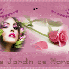 Mon petit forum !