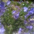 aux couleurs du temps