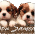 bonjour a tout monde