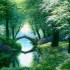 La beauté de Dieu  sur sa nature