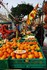 FETE DE L'ORANGE BANYULS SUR M