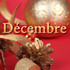 DECEMBRE 2015