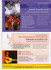 PROGRAMME FESTES CATALANES CAB