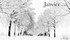 JANVIER 2026