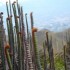 Du volcan à la communauté an