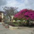 Cuenca, merveille des Andes