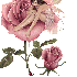 une rose pour vous