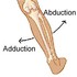 Adduction-abduction.