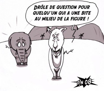 Etrange animal !