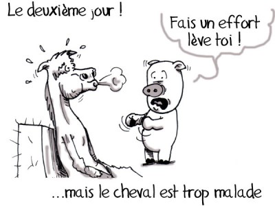 Moralit&eacute;