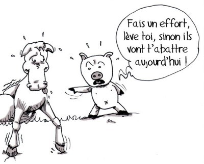 Moralit&eacute;