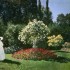 MONET, l'alchimiste de la Lumi