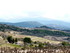 Dentelles de Montmirail. Rando