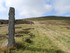 En Lozère (2): le sentier du 