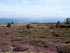 En Lozère (2): le sentier du 